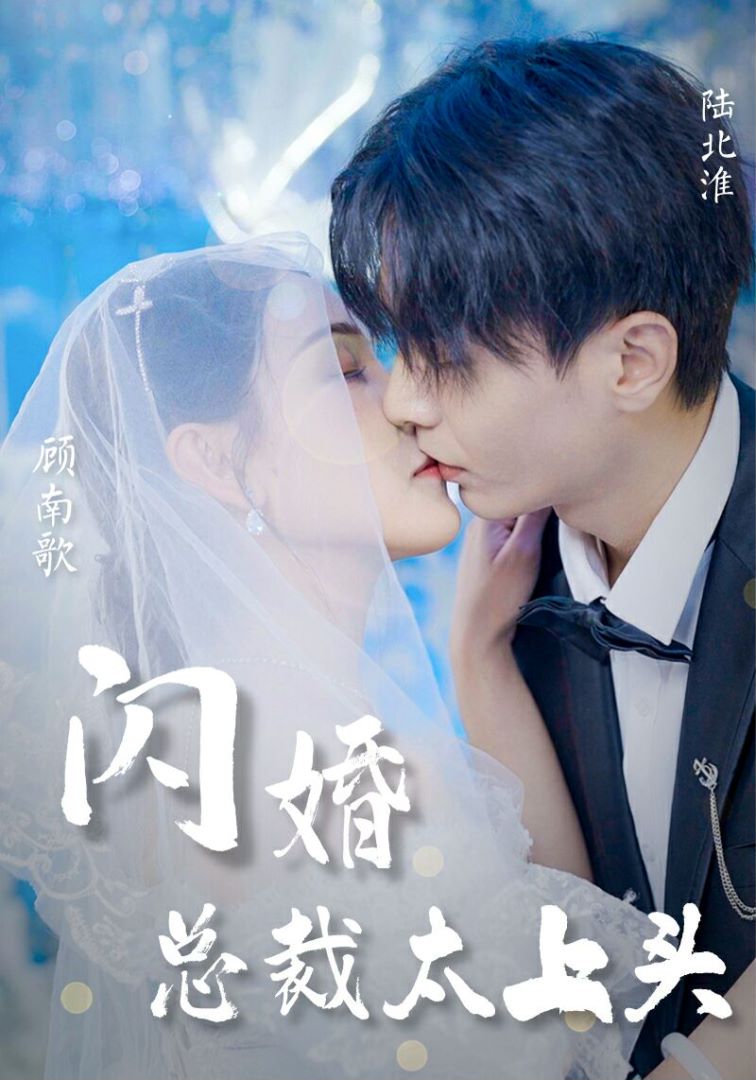 闪婚总裁太上头